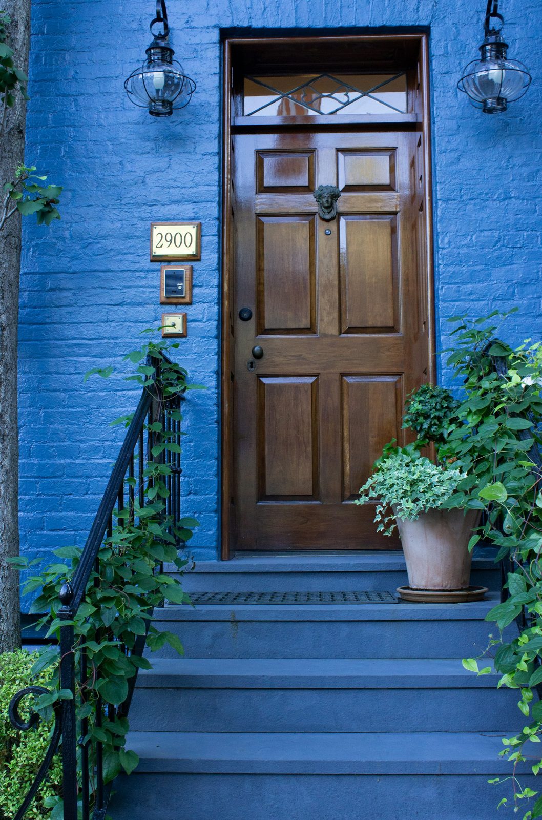 Solid timber front door with a brass handle and potted plant on the steps